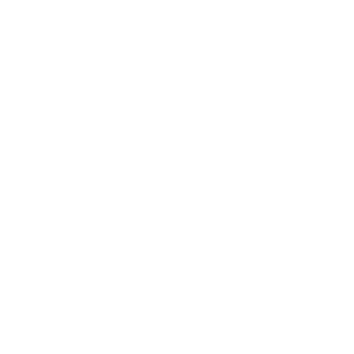 RYOGOKU